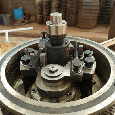 燃料のユーカリ木は機械垂直リングを3t/H死ぬ小球形にする