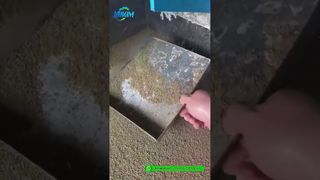 エビ飼料ペレットミル |工場完成品生産デモ#飼料ペレットマシン